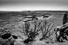 Canyonland